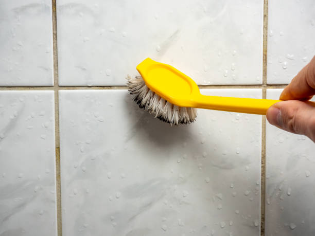 Cedar Glen Lakes, NJ Mold Removal Company